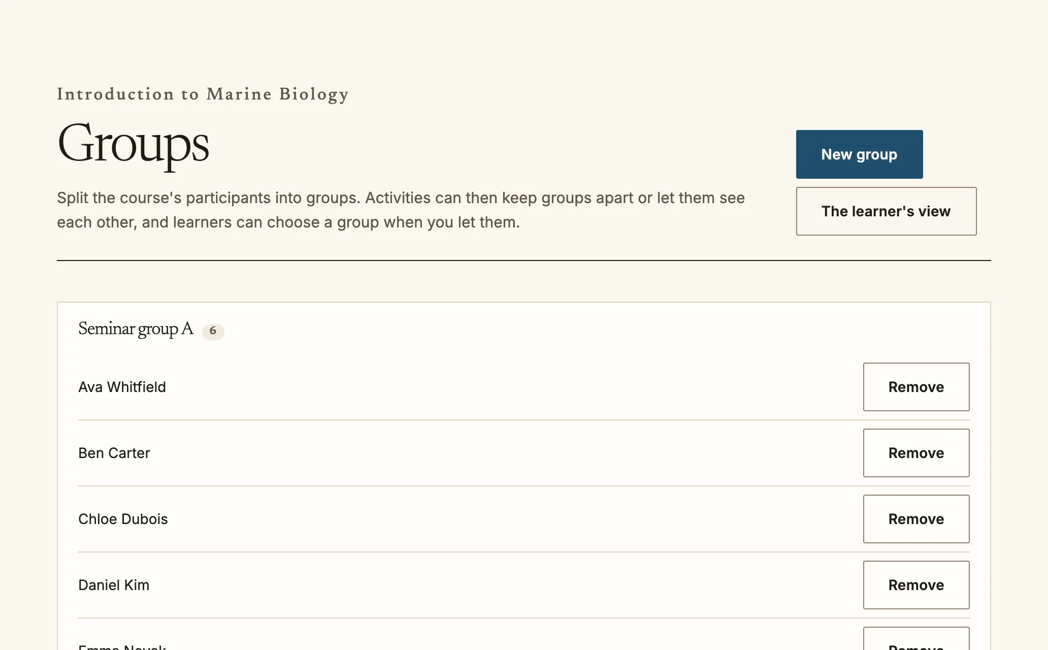 The Groups page listing a seminar group and its members, each with a Remove button.